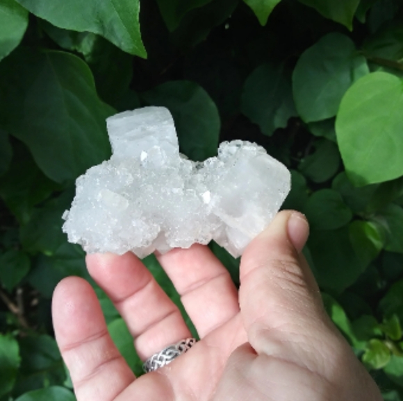 Apophyllite Crystal Cluster - Picture 2 of 10